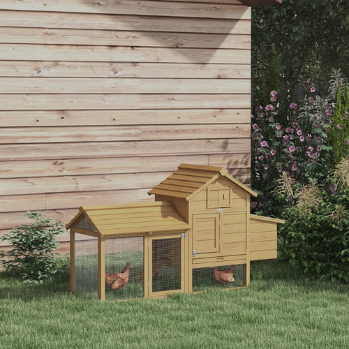 Garden small chicken poultry - garden,
