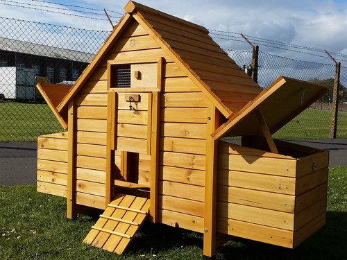 Chicken hen house coop - chicken,