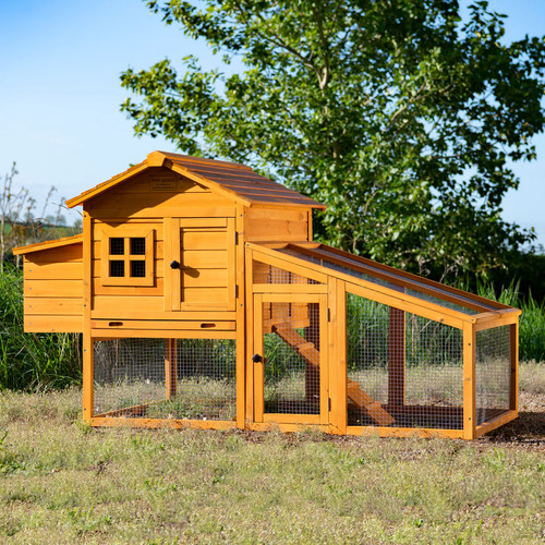Chicken coop run hen - chicken, &