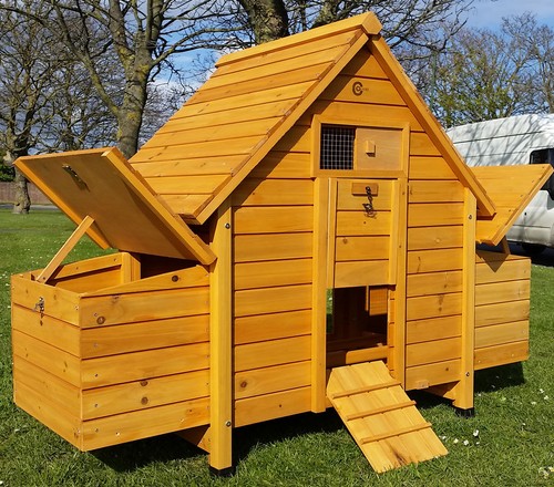 Chicken coop hen poultry - coop,