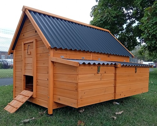 Huge eco50002n chicken - huge, coop