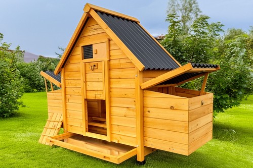 Chicken coop run - chicken, house