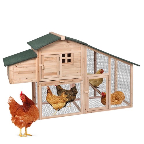 Sunnydays tier chicken coop - 2,