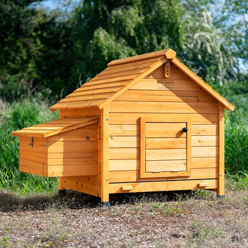 Chicken coop run hen house - hen,