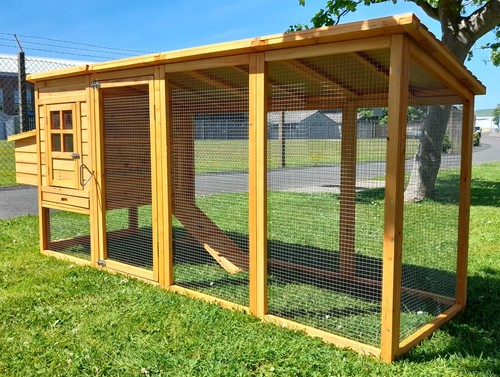 Chicken coop run - run, house