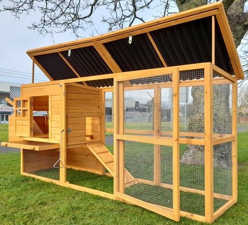 Chicken coop run - coop, house
