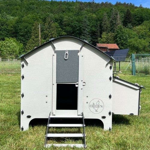 Plastic hen house - hen,