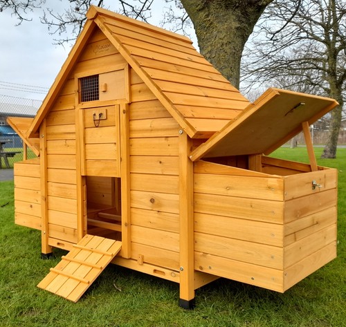 Chicken coop run hen - coop, house