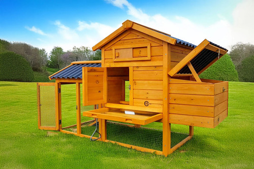 Chicken coop run - coop,