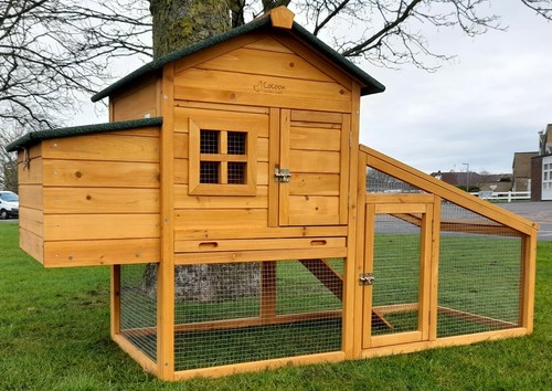 Chicken coop run - hen, house