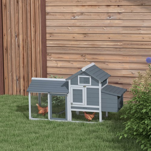 Small chicken coop - chicken,