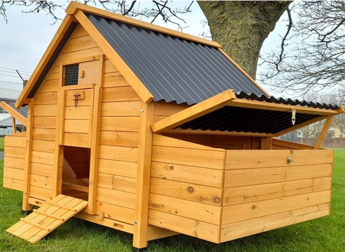 Eco1000 large chicken - eco1000-2n,